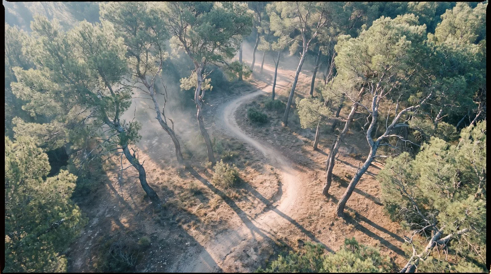 Sendero del recinto